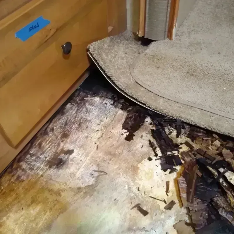 Best Wood Floor Water Damage Service in Southwick, MA